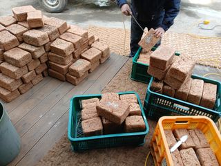 차민주님의 자유주제 · 자유게시판 작성글 사진