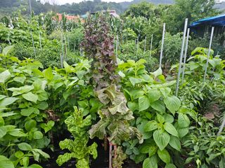 이신님의 2024년 출석왕중왕 결과 공유해요 👑 · 참여글 작성글 사진