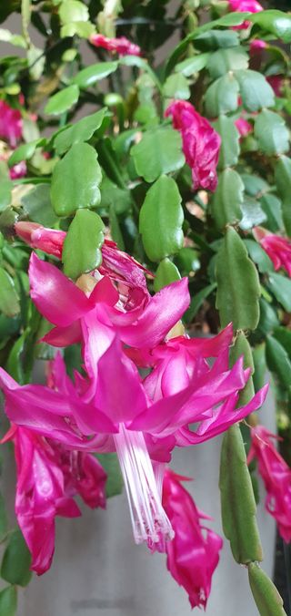 믿음.소망.사랑.님의 2024년 출석왕중왕 결과 공유해요 👑 · 참여글 작성글 사진