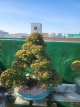 팜모닝 2024년 출석왕중왕 결과 공유해요 👑·참여글 게시글 이미지