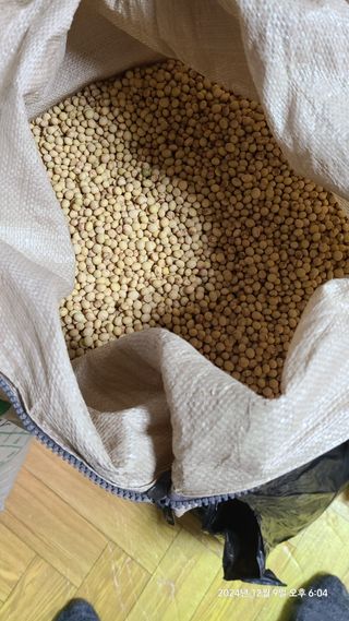 삼신령님의 2024년 출석왕중왕 결과 공유해요 👑 · 참여글 작성글 사진