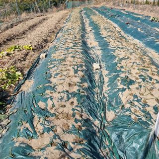 훈&팜님의 2024년 출석왕중왕 결과 공유해요 👑 · 참여글 작성글 사진