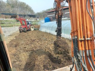 김영제아침향토가수님의 고구마 · 영농일지 작성글 사진