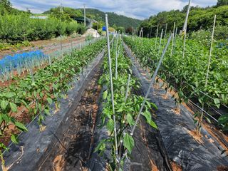 김용규님의 2024년 출석왕중왕 결과 공유해요 👑 · 참여글 작성글 사진