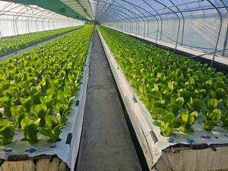 최도윤(중고농기계)님의 2024년 출석왕중왕 결과 공유해요 👑 · 참여글 작성글 사진