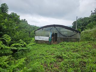 이신님의 2024년 출석왕중왕 결과 공유해요 👑 · 참여글 작성글 사진