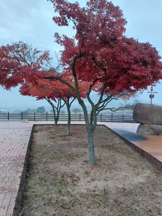 김치환님의 2024년 출석왕중왕 결과 공유해요 👑 · 참여글 작성글 사진