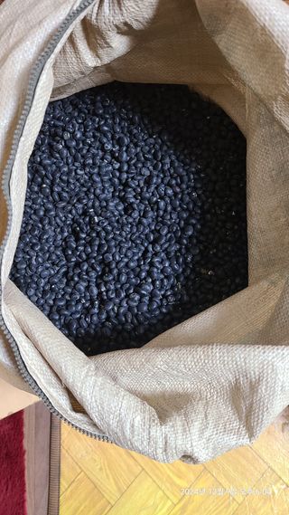 삼신령님의 2024년 출석왕중왕 결과 공유해요 👑 · 참여글 작성글 사진