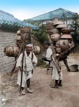 가평규남터밭농사님의 2024년 출석왕중왕 결과 공유해요 👑 · 참여글 작성글 사진