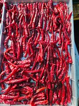 팜모닝 2024년 출석왕중왕 결과 공유해요 👑·참여글 게시글 이미지