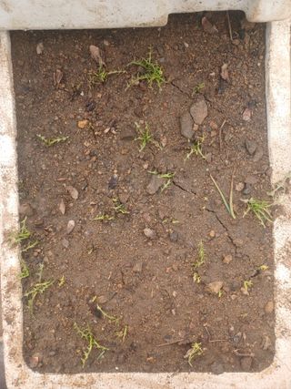 무료지식나눔 팜닥터님의 자유주제 · 자유게시판 작성글 사진