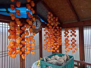 김년욱님의 2024년 출석왕중왕 결과 공유해요 👑 · 참여글 작성글 사진