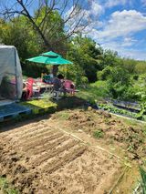 팜모닝 2024년 출석왕중왕 결과 공유해요 👑·참여글 게시글 이미지