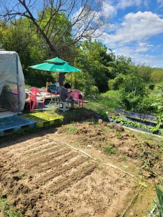 복숭아10139님의 2024년 출석왕중왕 결과 공유해요 👑 · 참여글 작성글 사진