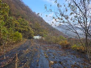 윤상국님의 2024년 출석왕중왕 결과 공유해요 👑 · 참여글 작성글 사진