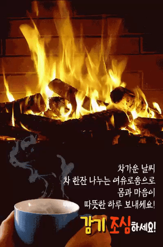 Kbd1961님의 2024년 출석왕중왕 결과 공유해요 👑 · 참여글 작성글 사진