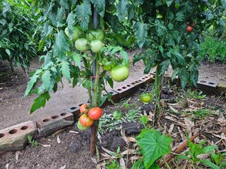 이신님의 2024년 출석왕중왕 결과 공유해요 👑 · 참여글 작성글 사진