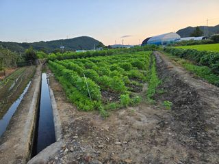 팜모님정보감사합니다님의 2024년 출석왕중왕 결과 공유해요 👑 · 참여글 작성글 사진