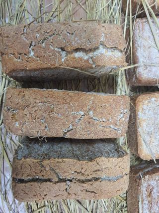 엘림농장님의 자유주제 · 칭찬해요 작성글 사진