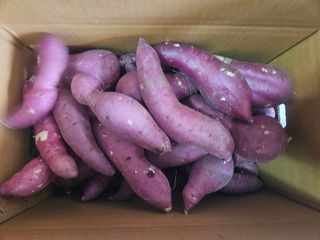 이재관(황토속애)님의 작성글 사진