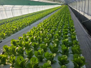 최도윤(중고농기계)님의 2024년 출석왕중왕 결과 공유해요 👑 · 참여글 작성글 사진