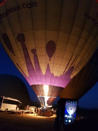 토마토님의 자유주제 · 자유게시판 작성글 사진