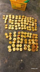 팜모닝 2024년 출석왕중왕 결과 공유해요 👑·참여글 게시글 이미지