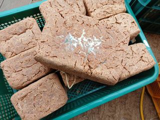 차민주님의 자유주제 · 자유게시판 작성글 사진