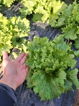 팜모닝 자유주제·자유게시판 게시글 이미지