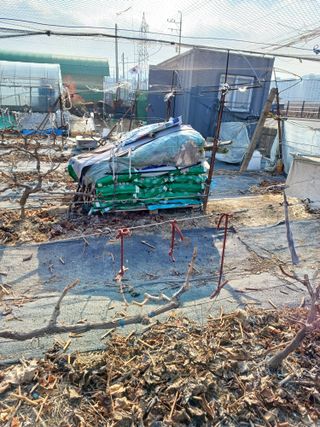 상훈경영체등록5년차님의 자유주제 · 자유게시판 작성글 사진