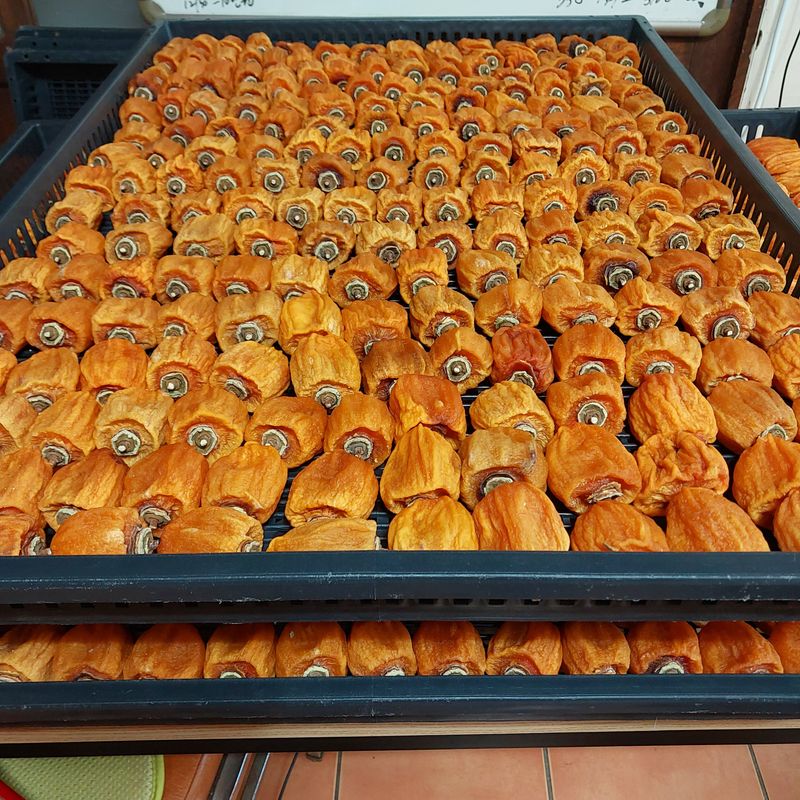 박수연님의 장터 판매 상품 [상촌곶감1호] 첨부 사진