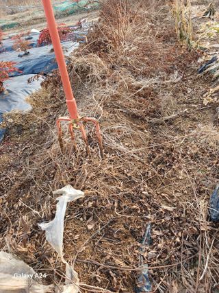 강성흔목사 님의 자유주제 · 자유게시판 작성글 사진