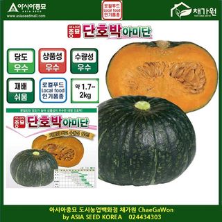 아시아종묘님의 자유주제 · 자유게시판 작성글 사진