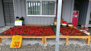 초보농부님의 2024년 출석왕중왕 결과 공유해요 👑 · 참여글 작성글 사진