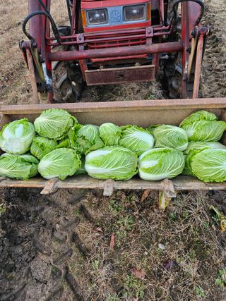 이왕권님의 2024년 출석왕중왕 결과 공유해요 👑 · 참여글 작성글 사진