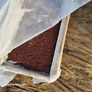 박용열조물주님 님의 자유주제 · 자유게시판 작성글 사진