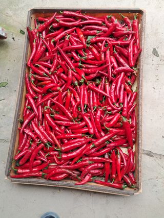 마정숙님의 2024년 출석왕중왕 결과 공유해요 👑 · 참여글 작성글 사진