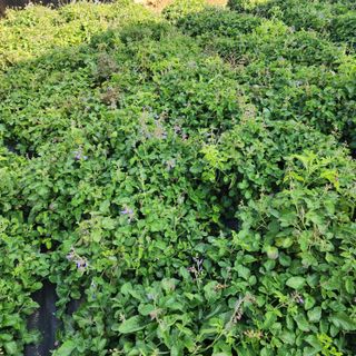 박동현님의 작성글 사진