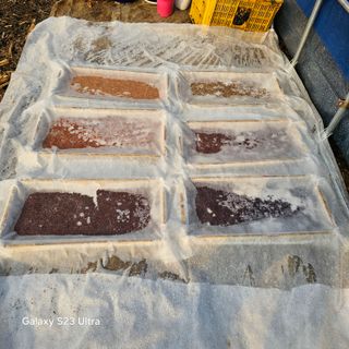 박용열조물주님 님의 자유주제 · 자유게시판 작성글 사진