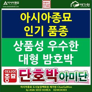 아시아종묘님의 자유주제 · 자유게시판 작성글 사진