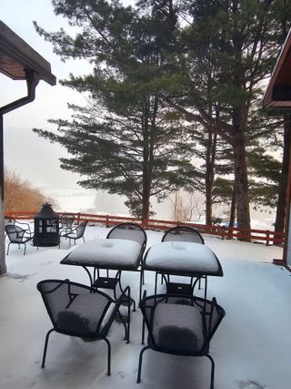 홍천산채농원님의 자유주제 · 자유게시판 작성글 사진