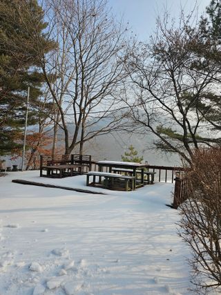 홍천산채농원님의 자유주제 · 자유게시판 작성글 사진