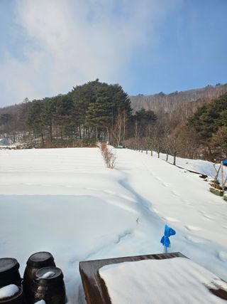 홍천산채농원님의 자유주제 · 자유게시판 작성글 사진