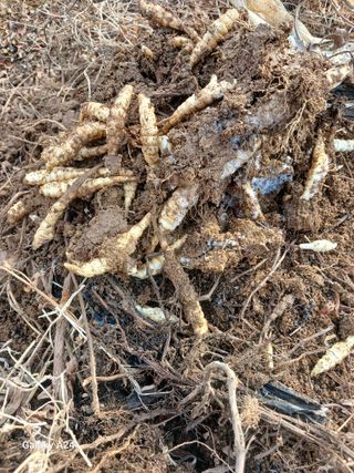 강성흔목사 님의 자유주제 · 자유게시판 작성글 사진