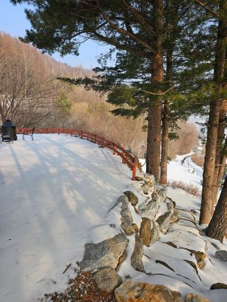 홍천산채농원님의 자유주제 · 자유게시판 작성글 사진