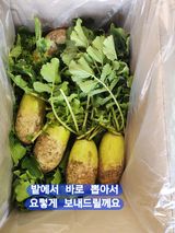 팜모닝 · 게시글 이미지