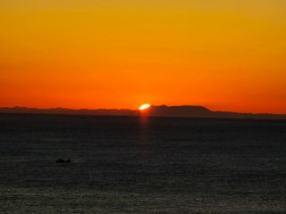 최부근님의 2024년 출석왕중왕 결과 공유해요 👑 · 참여글 작성글 사진