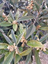 팜모닝 2024년 출석왕중왕 결과 공유해요 👑·참여글 게시글 이미지