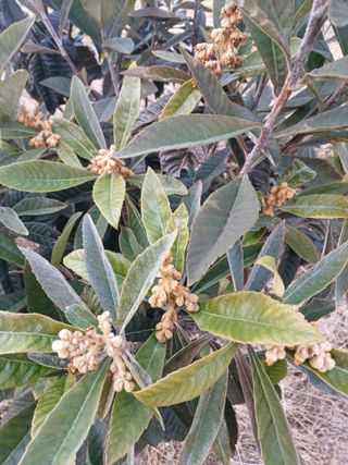 최병태님의 2024년 출석왕중왕 결과 공유해요 👑 · 참여글 작성글 사진