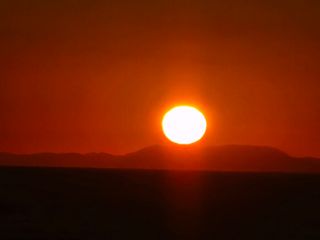 최부근님의 2024년 출석왕중왕 결과 공유해요 👑 · 참여글 작성글 사진